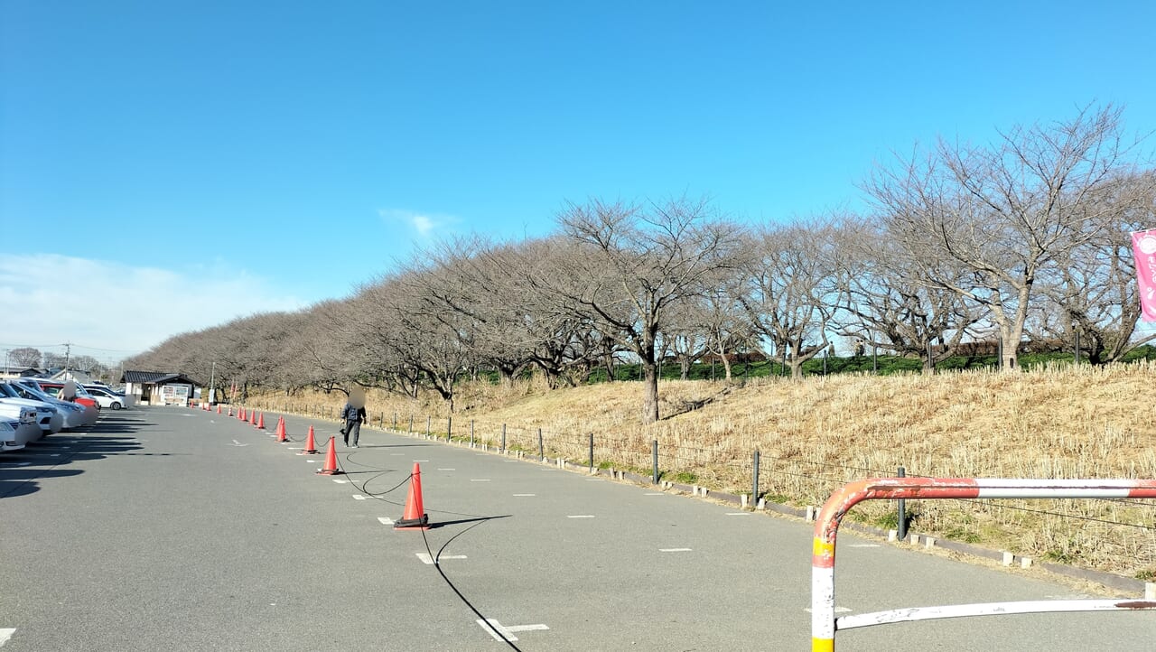 権現堂公園4号公園の駐車場 