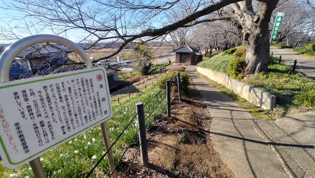 清保堂看板と水仙