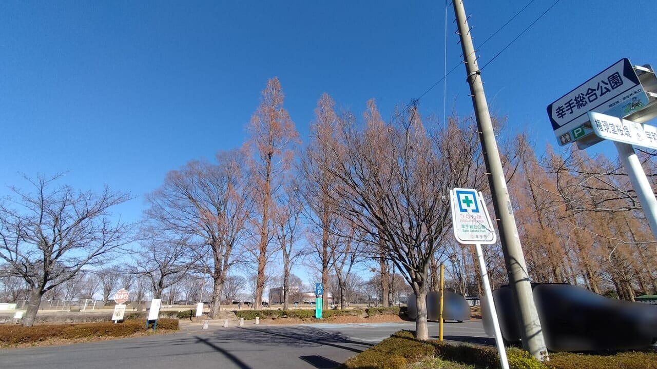 幸手総合公園