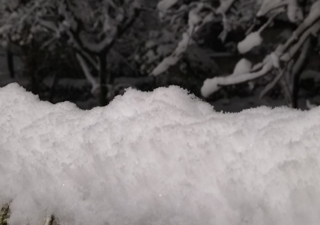 2月5日の積雪
