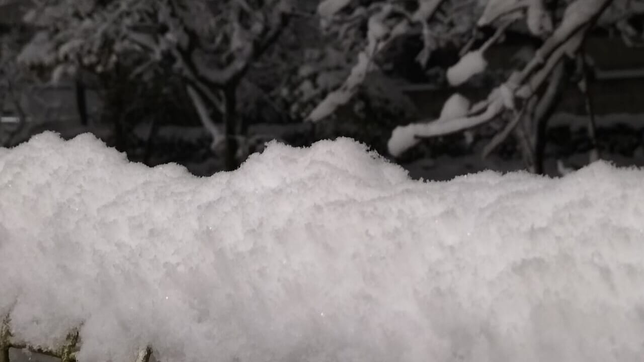 2月5日の積雪