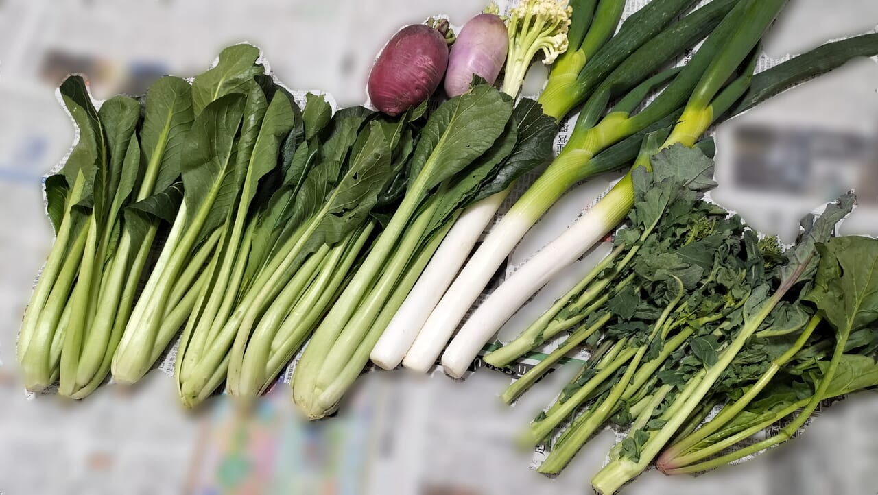 新聞の上に広げた野菜