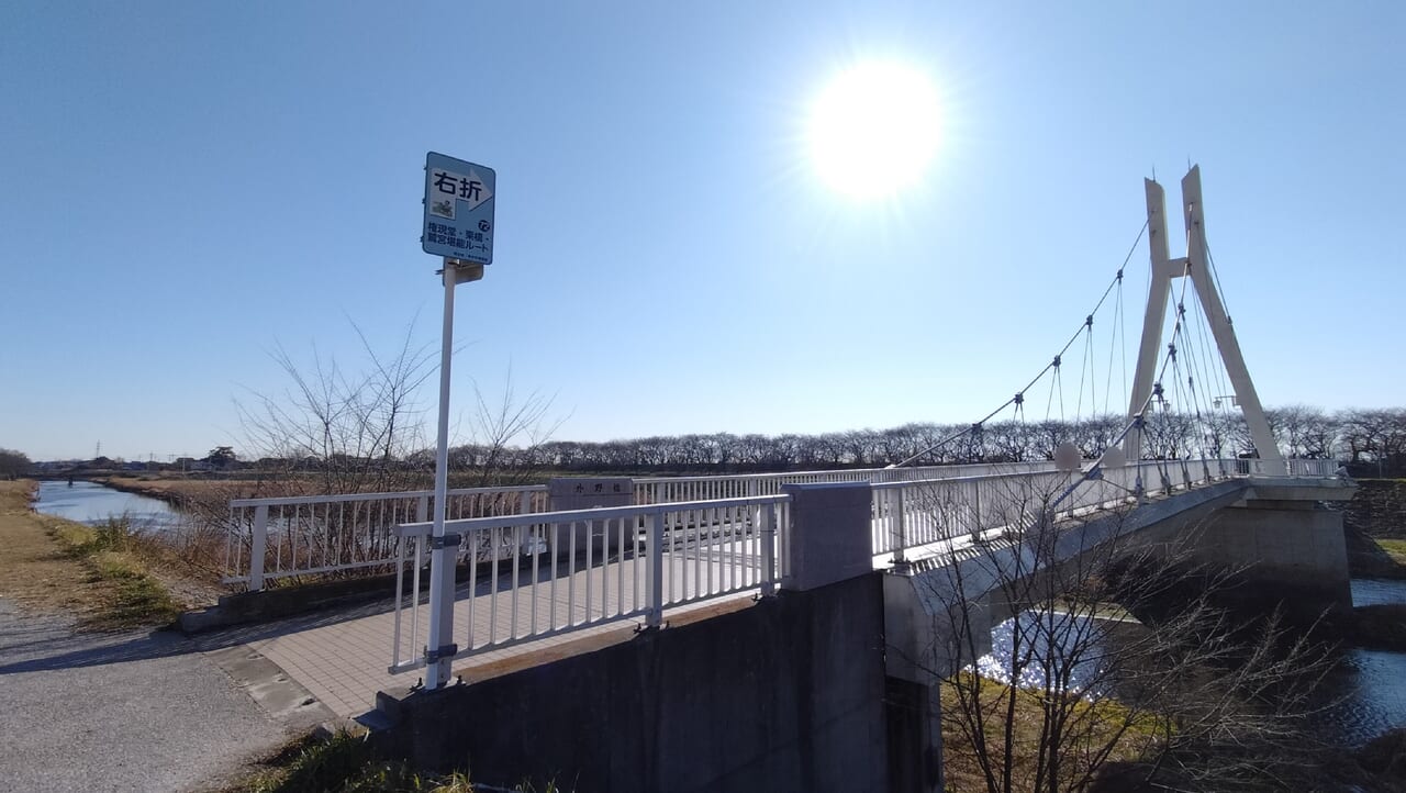 権現堂公園の外野橋