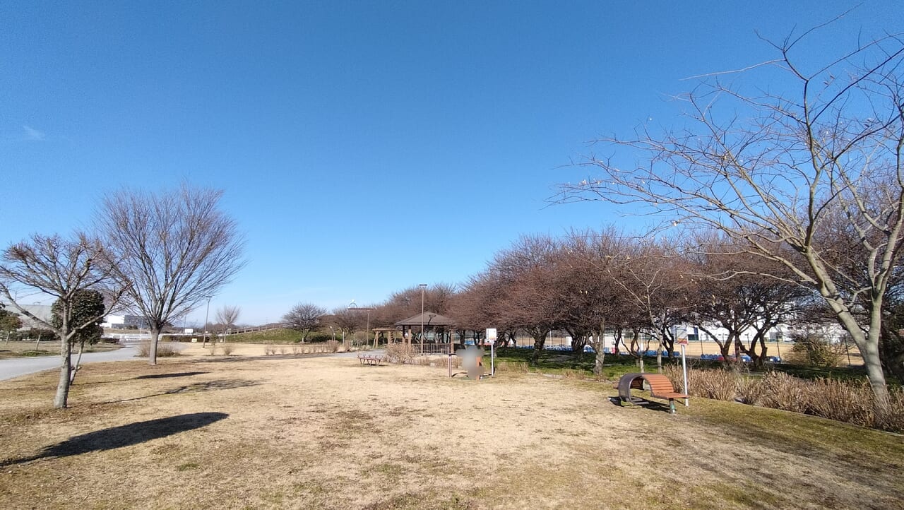 権現堂公園のアスレチックなど