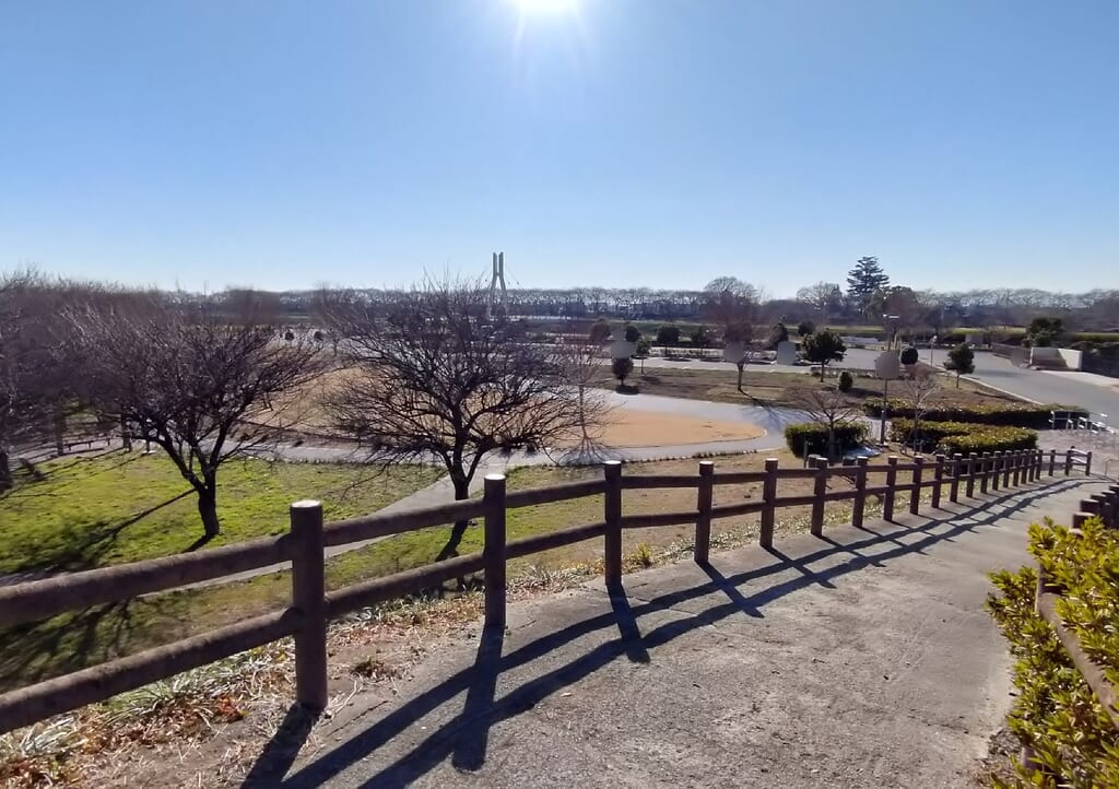 権現堂3号公園の展望台