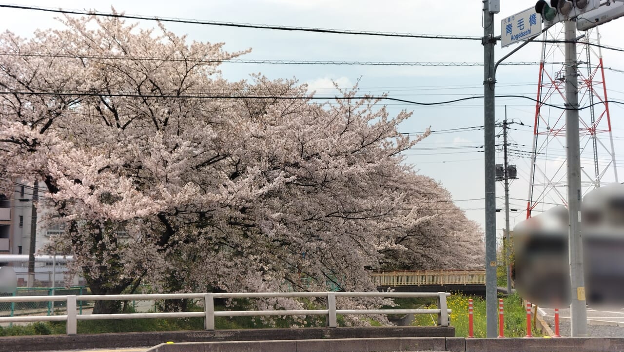 青毛橋交差点の周辺