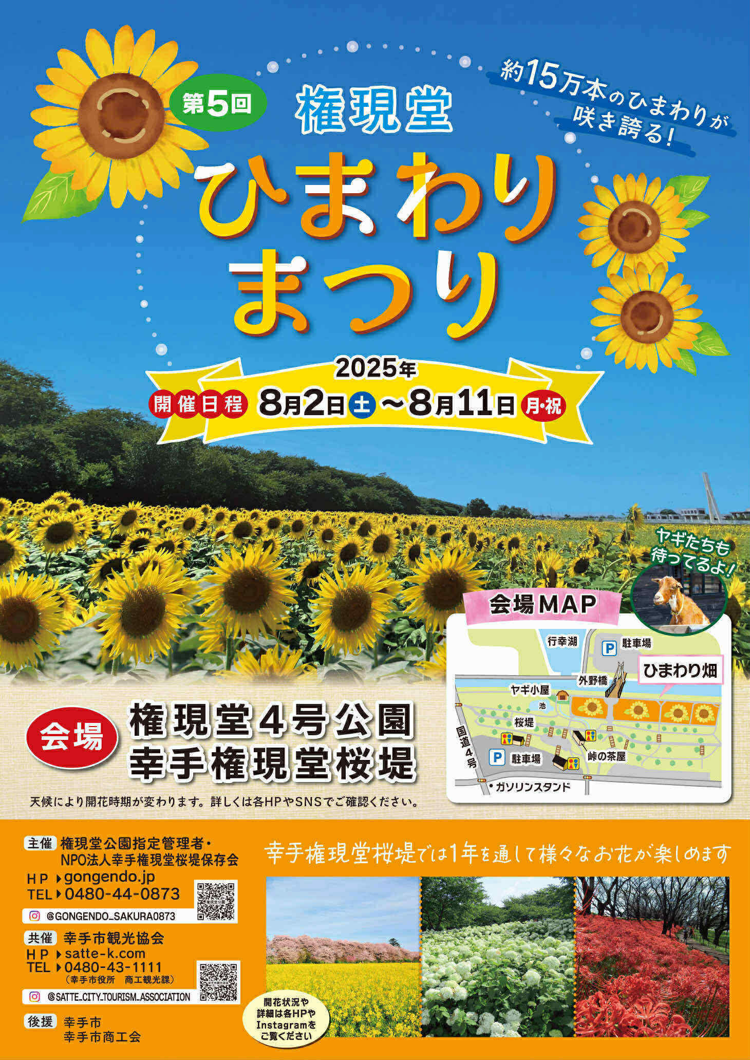 幸手市のひまわりまつり