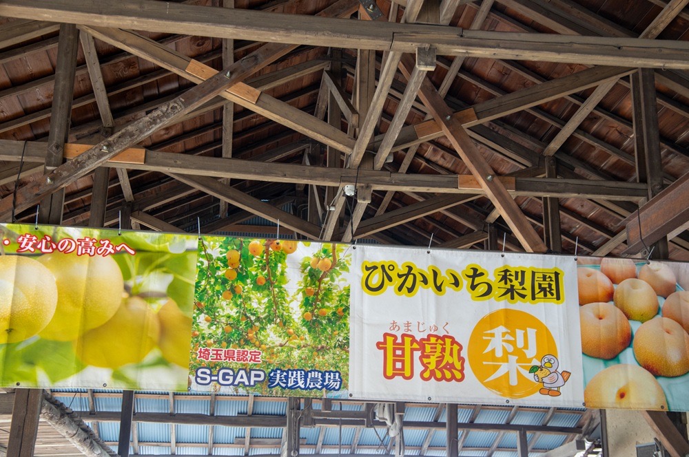 久喜市のぴかいち梨園の梨