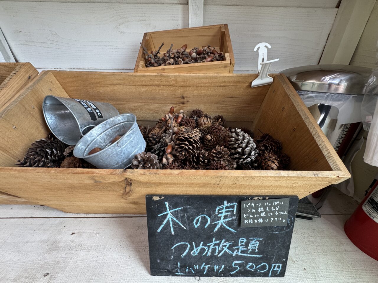 菖蒲町で孔雀のレンタル・販売をしているパボーネの無人販売所