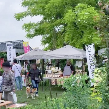 久喜市菖蒲のガーデンプレイス花のワルツで行われるフラリマルシェとお仕事体験
