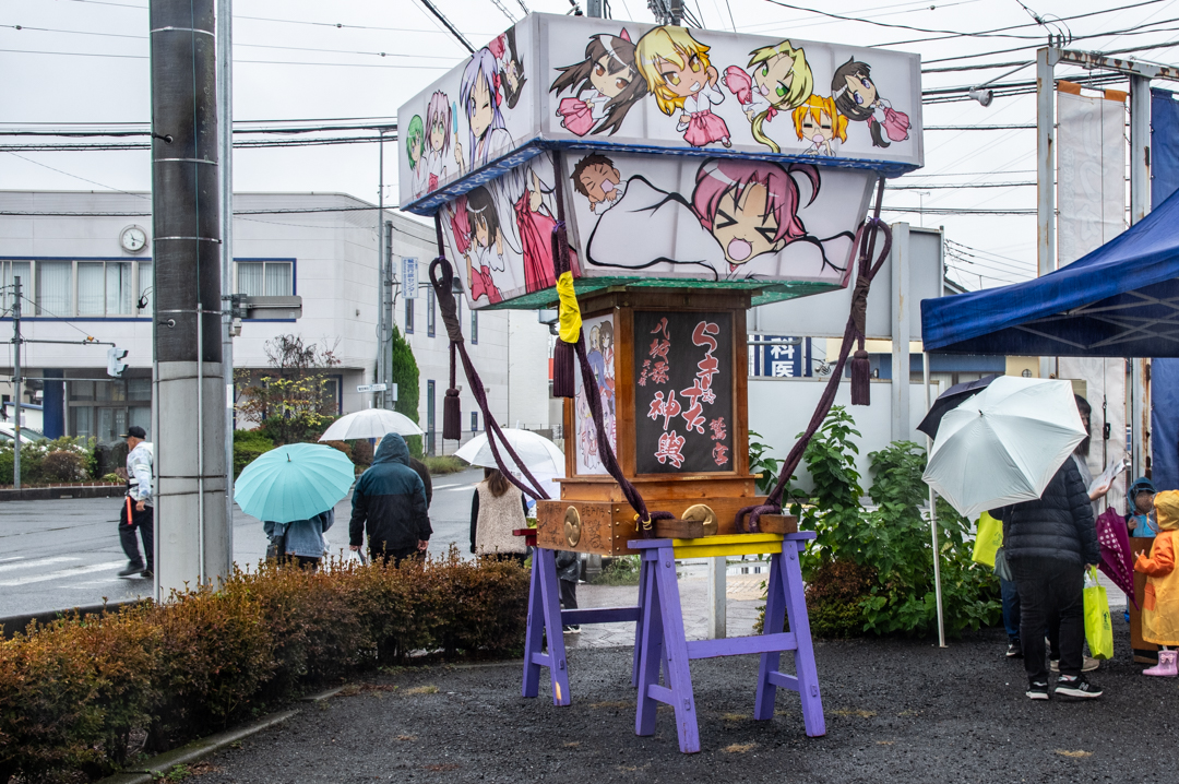 わしのみやコスモスフェスタ2025年令和7年度