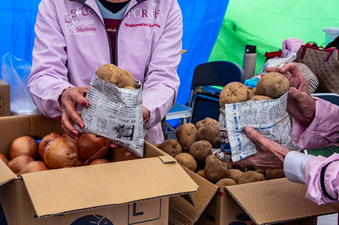 わしのみやコスモスフェスタ2025年令和7年度