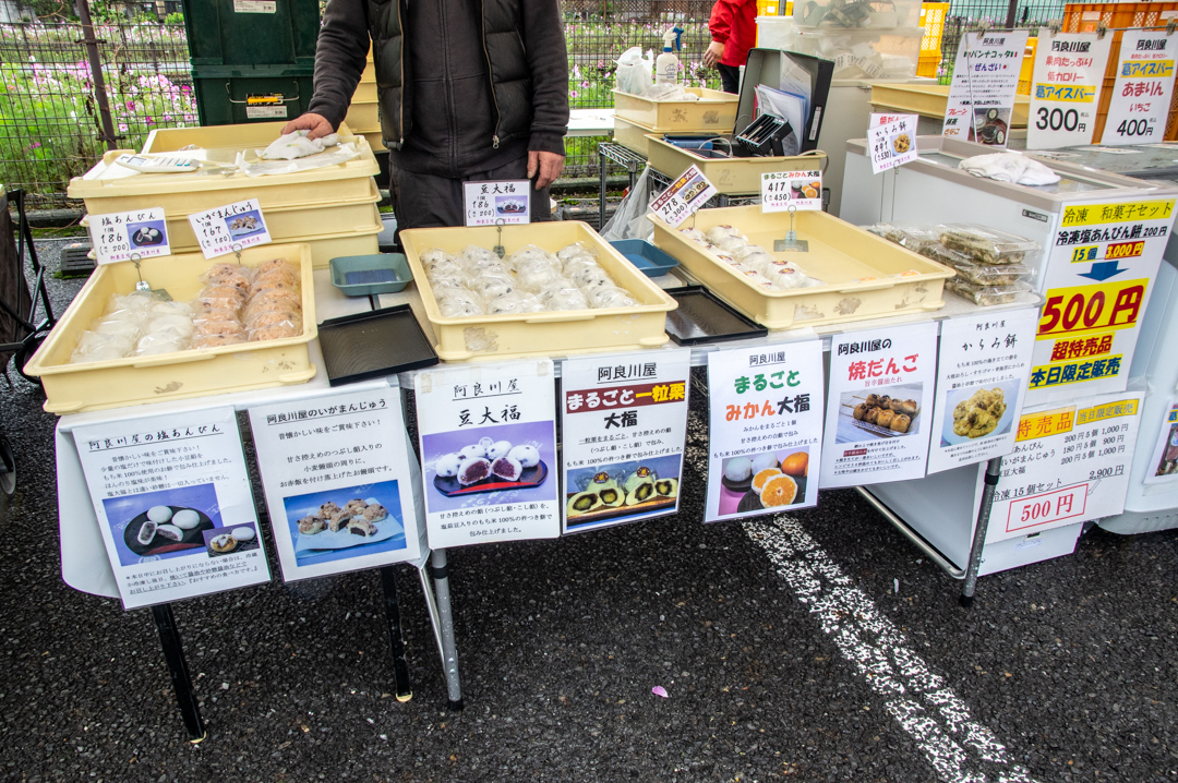 わしのみやコスモスフェスタ2025年令和7年度