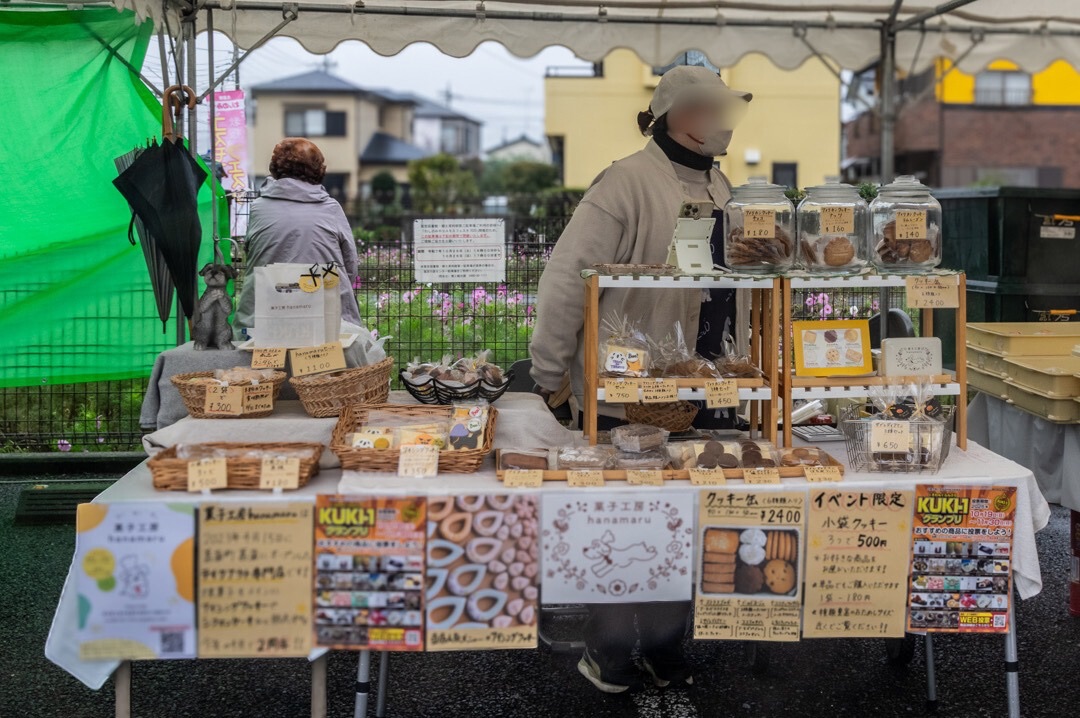 わしのみやコスモスフェスタ2025年令和7年度