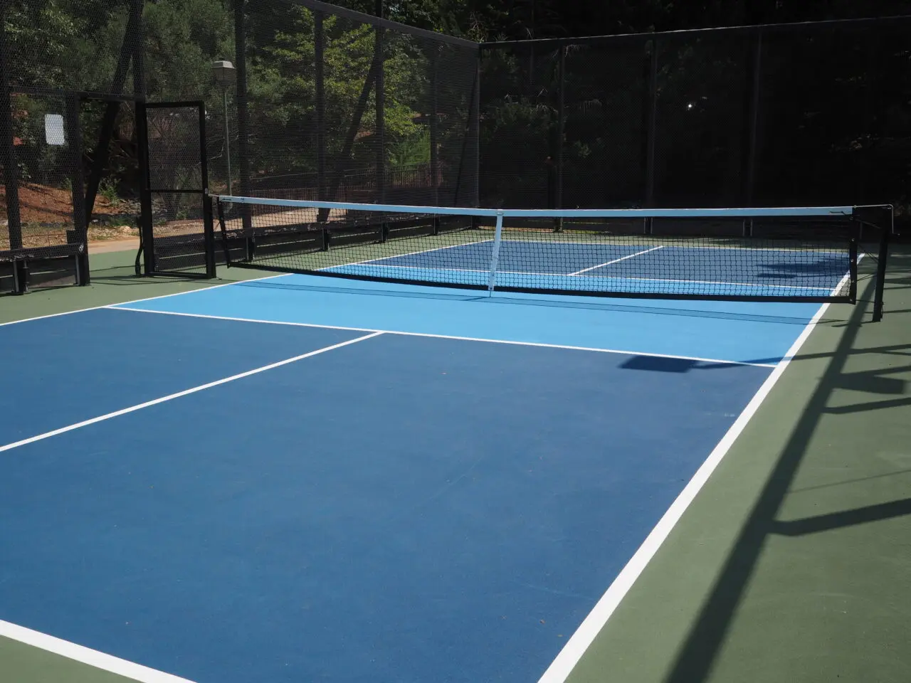 久喜市ピックルボール