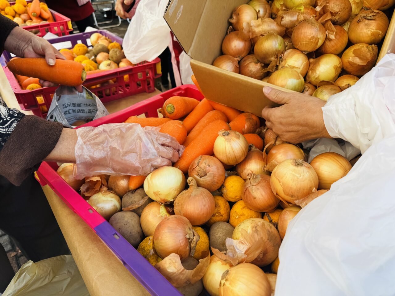 栗橋やさしさときめき祭り2025年開催の様子野菜詰め放題