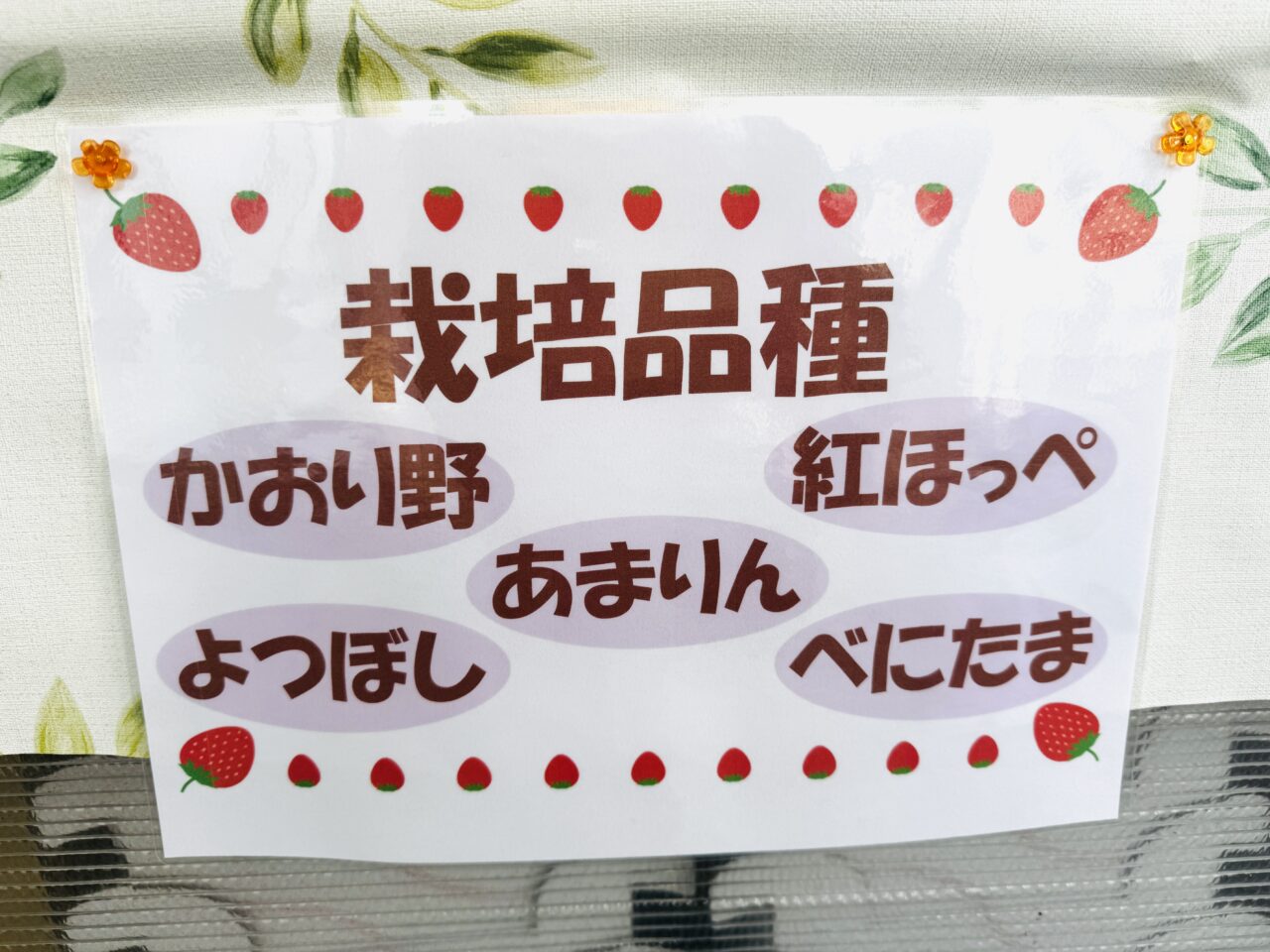 久喜・菖蒲モラージュ近くのいちご狩り苺ファームあおき