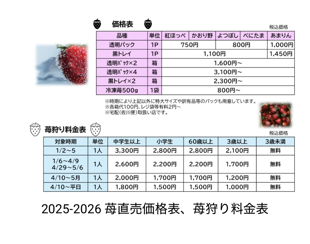 久喜・菖蒲モラージュ近くのいちご狩り苺ファームあおき