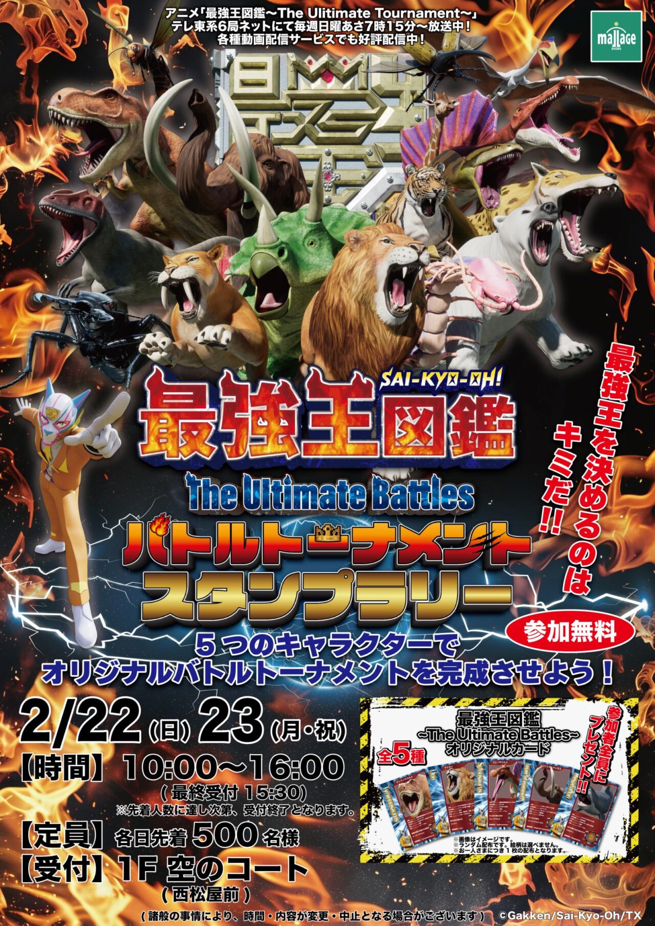 モラージュ菖蒲でノラネコぐんだん撮影会と最強王図鑑