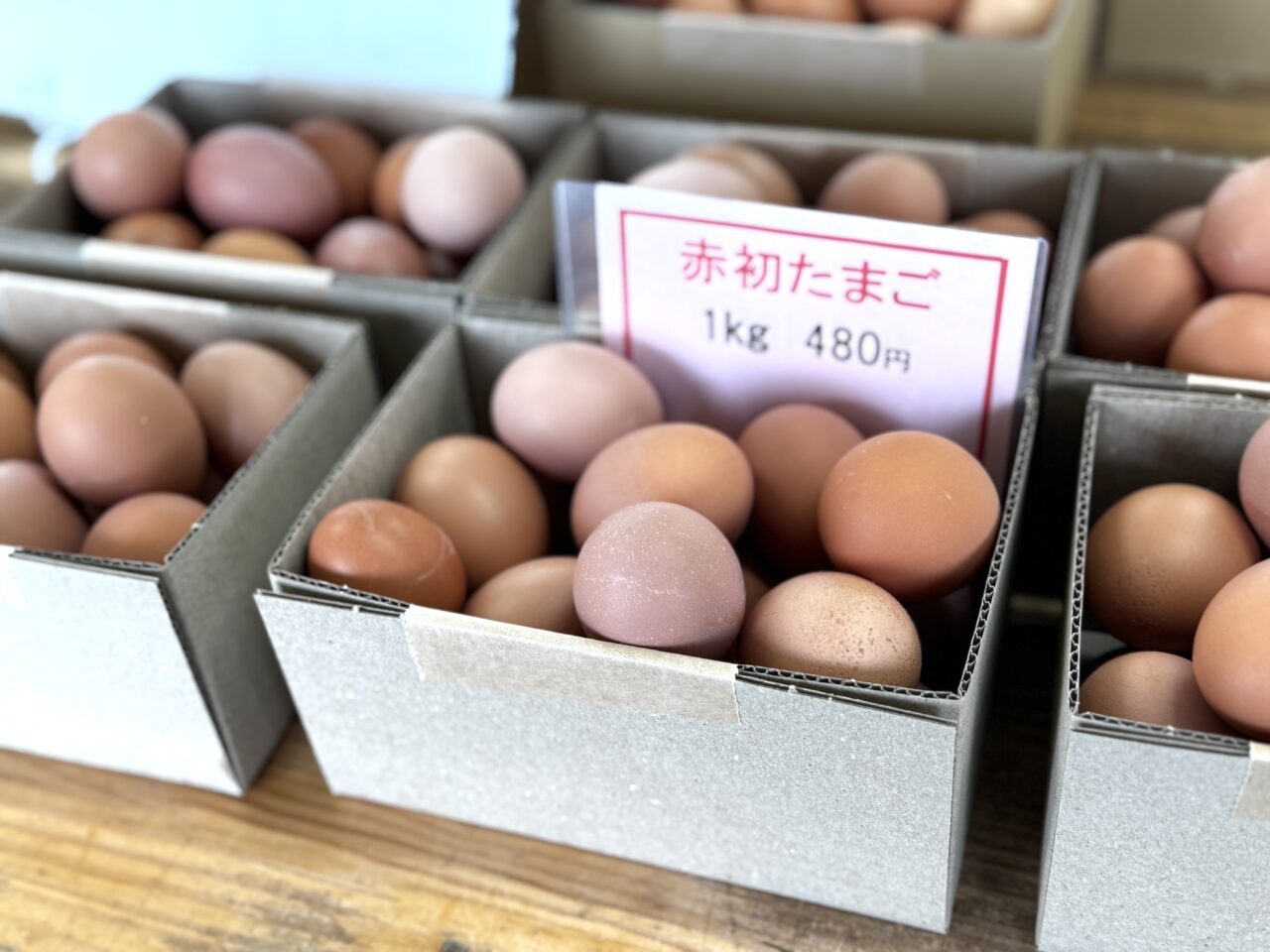 杉戸のさかさい坂斎のうみたて卵とスイーツ