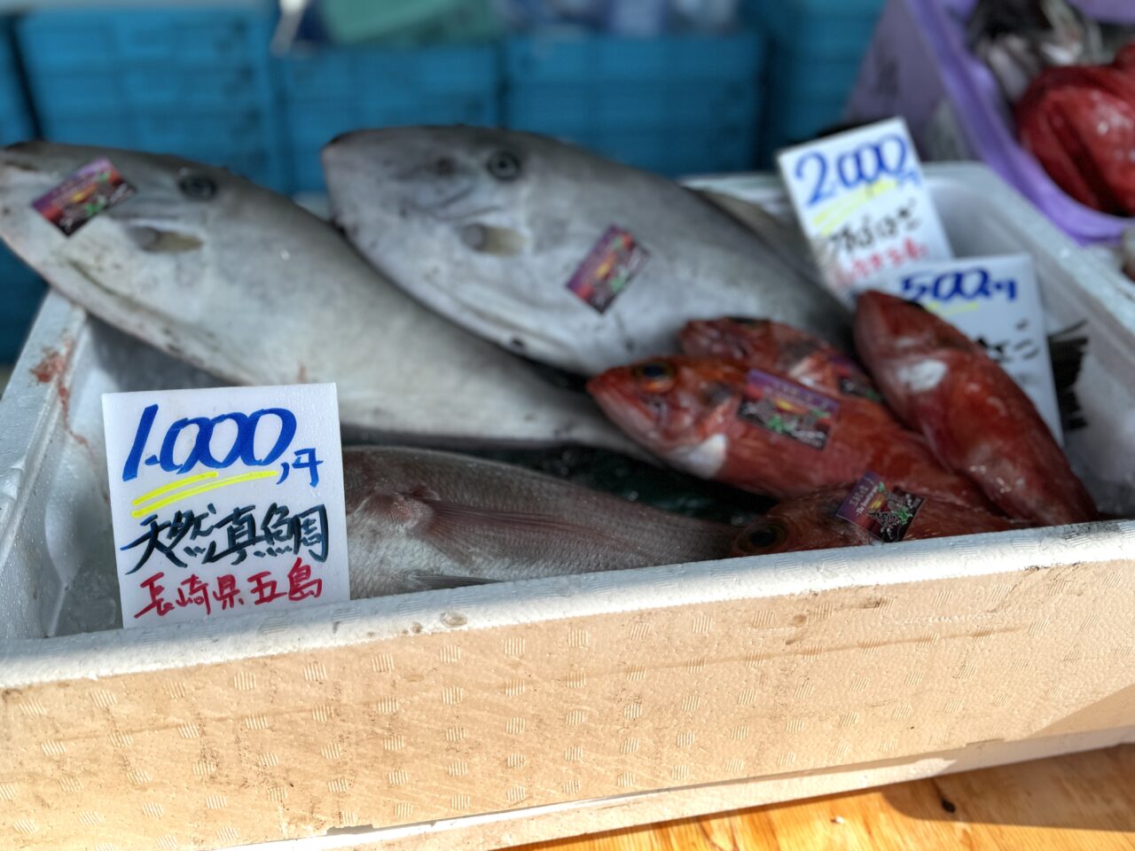 エムズタウンのお魚シャトル豊洲市場