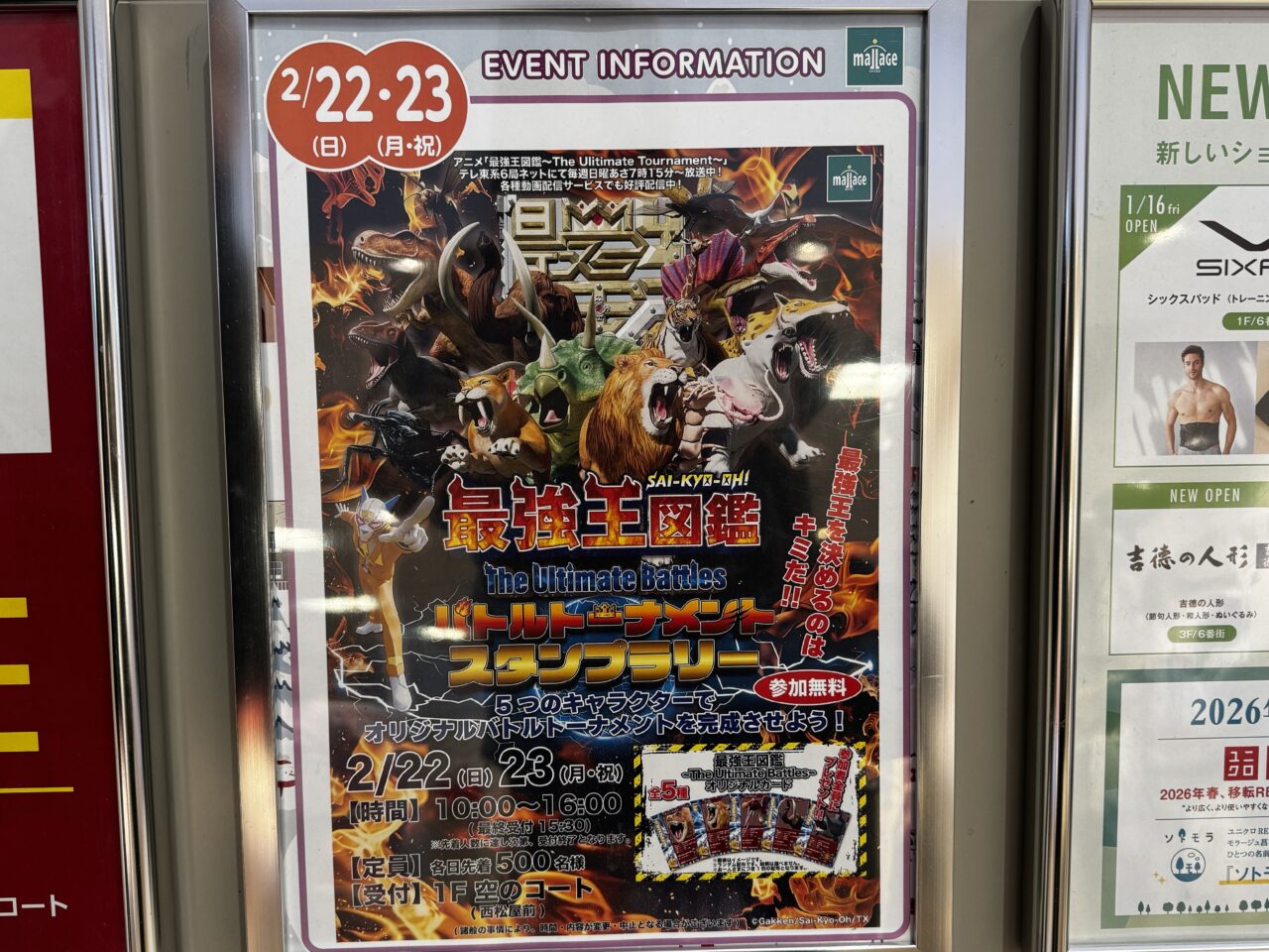 モラージュ菖蒲でノラネコぐんだん撮影会と最強王図鑑