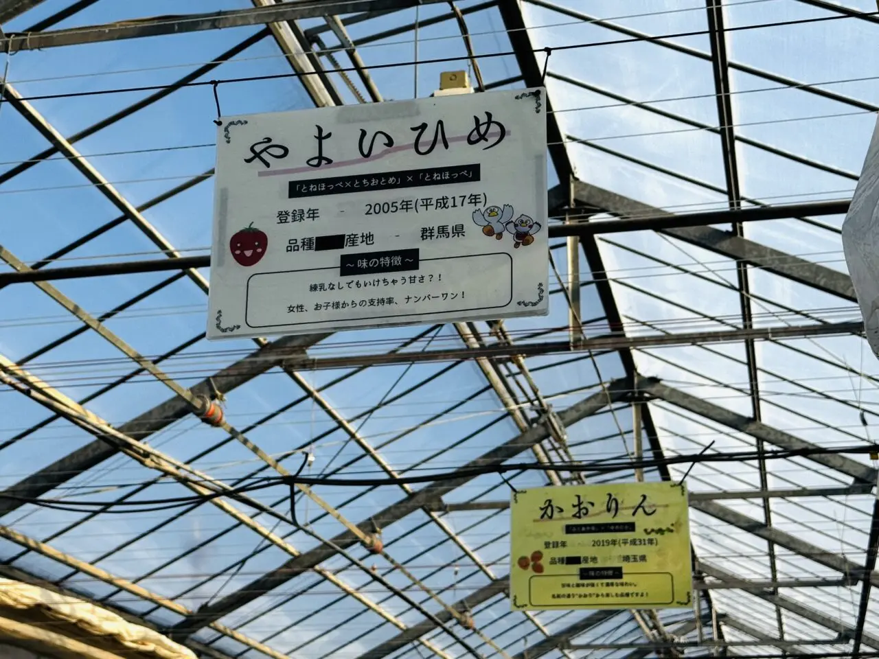 菖蒲グリーンセンターのいちご狩り