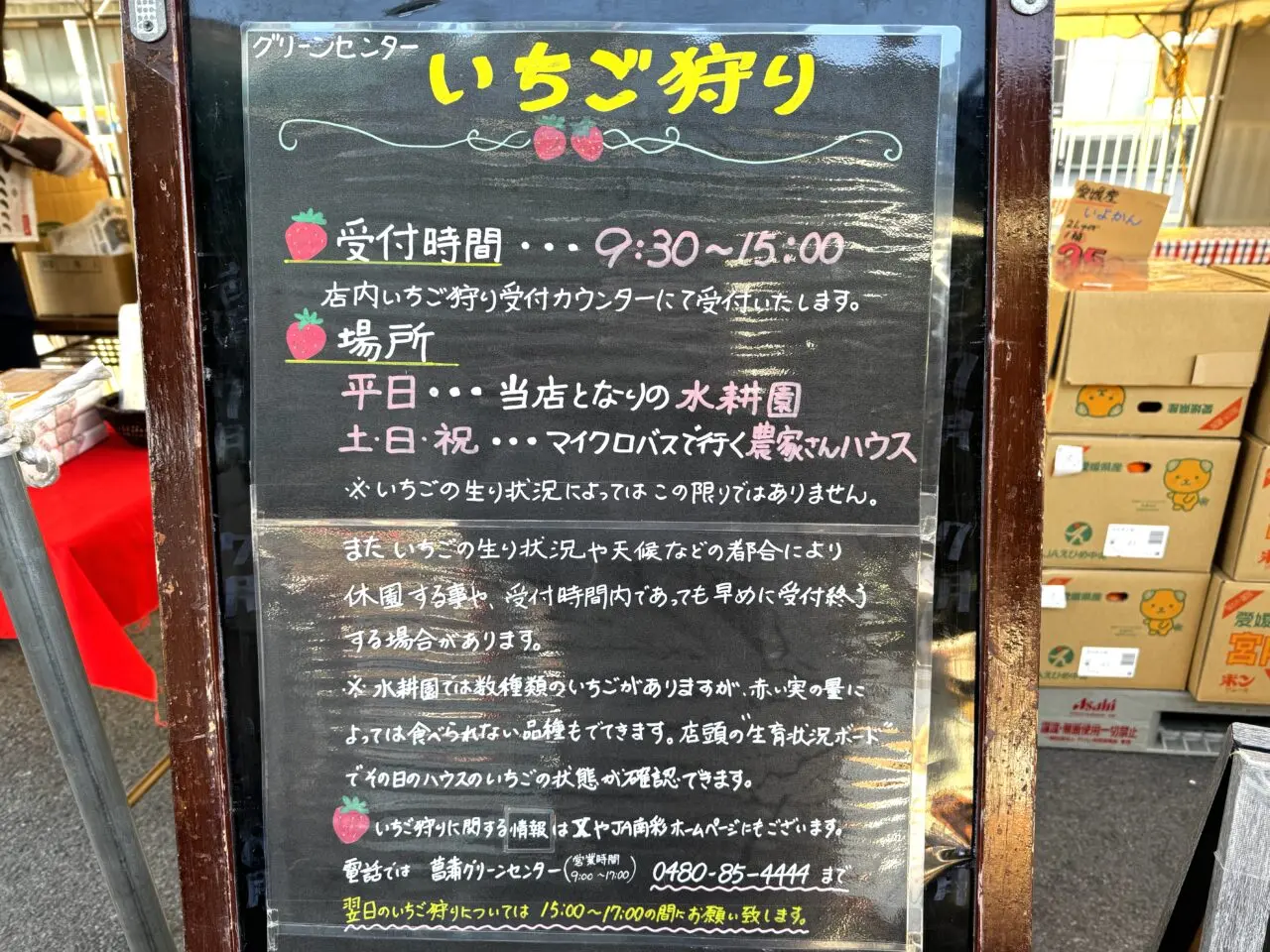 菖蒲グリーンセンターのいちご狩り