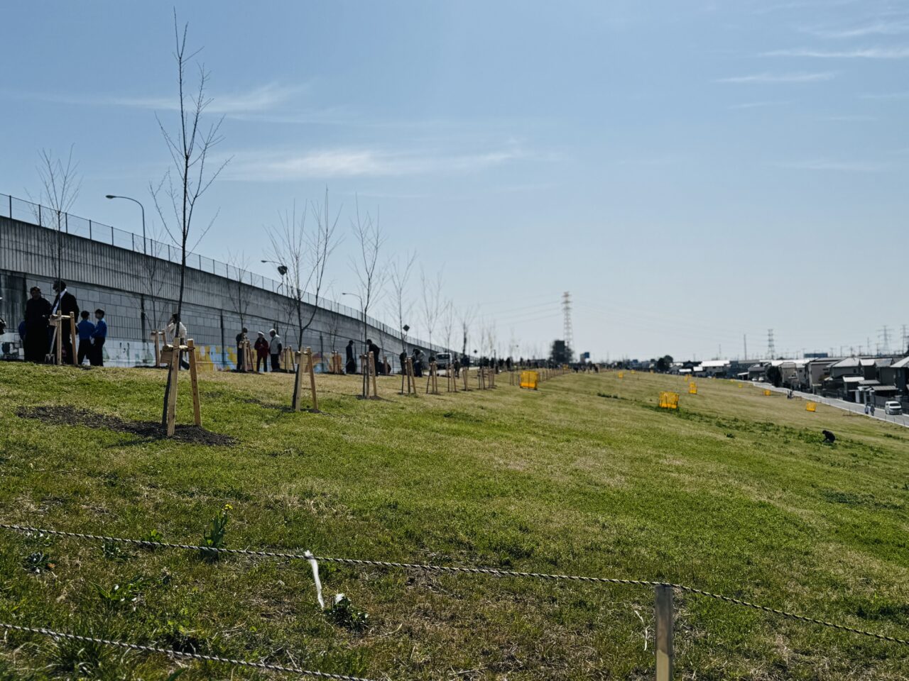 久喜市に新しい桜堤が。桜の里親による桜の植樹が開催。